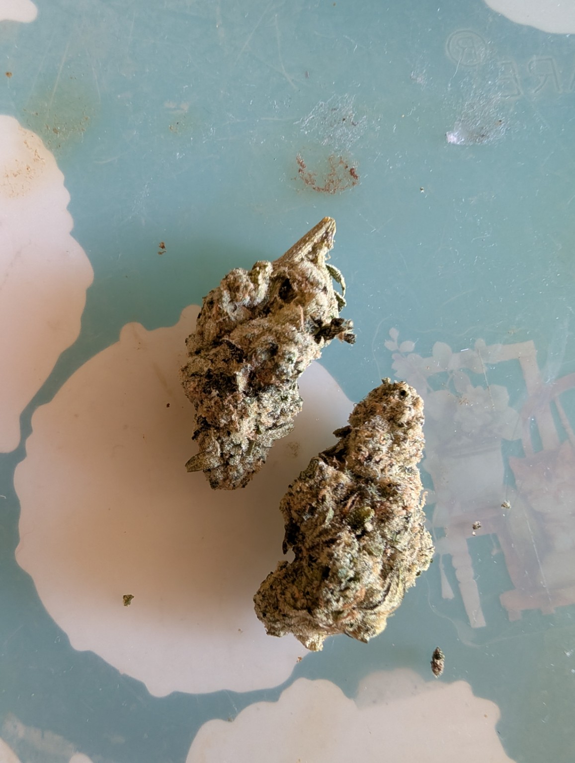 Close-up of dried medical cannabis flower, second angle.