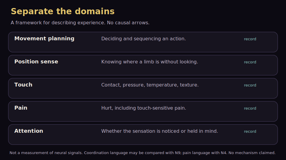 Five labelled domains with no arrows: movement planning, position sense, touch, pain, attention.