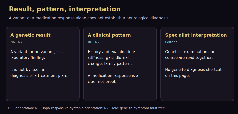 Three panels: genetic result, clinical pattern, specialist interpretation.